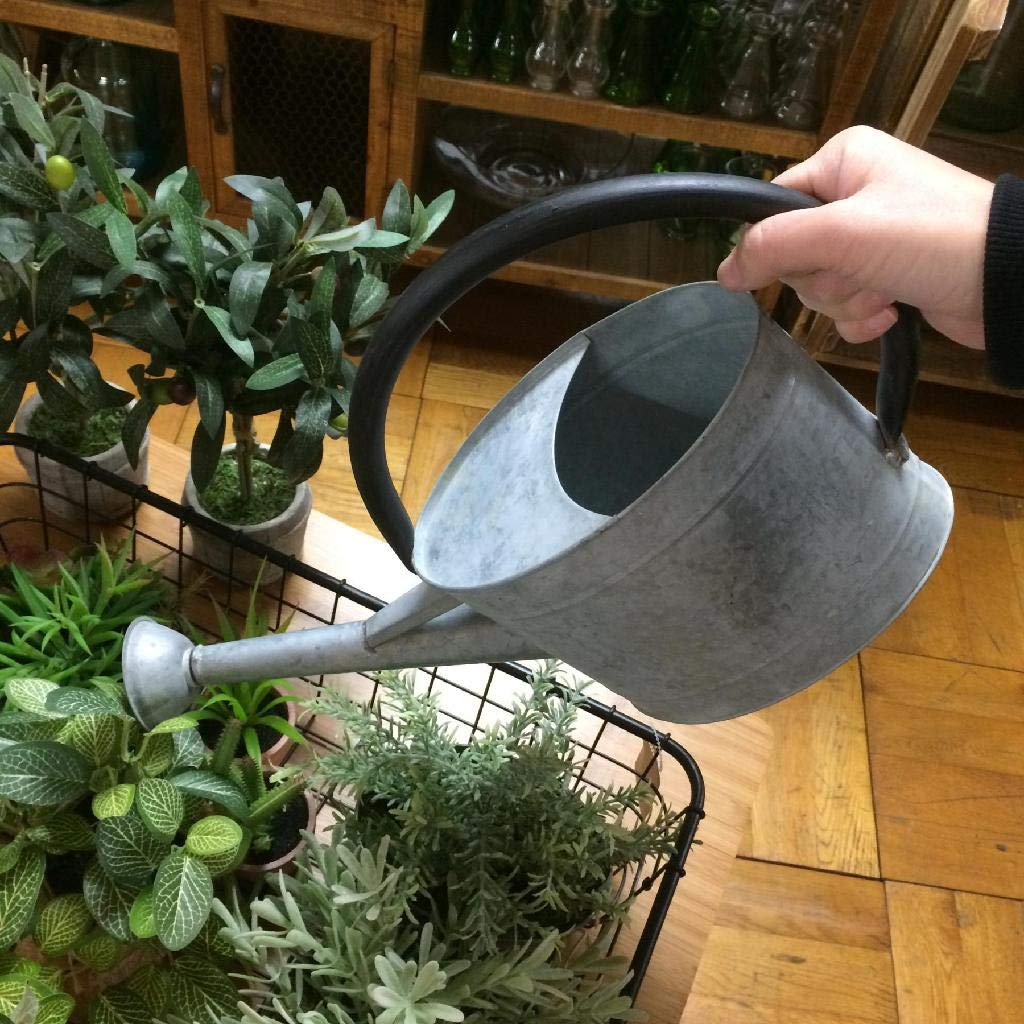 Amazon.co.jp: SPICE OF LIFE(スパイス) アイアンハンドルブリキ Amazon.co.jp: SPICE OF LIFE(スパイス) アイアンハンドルブリキ